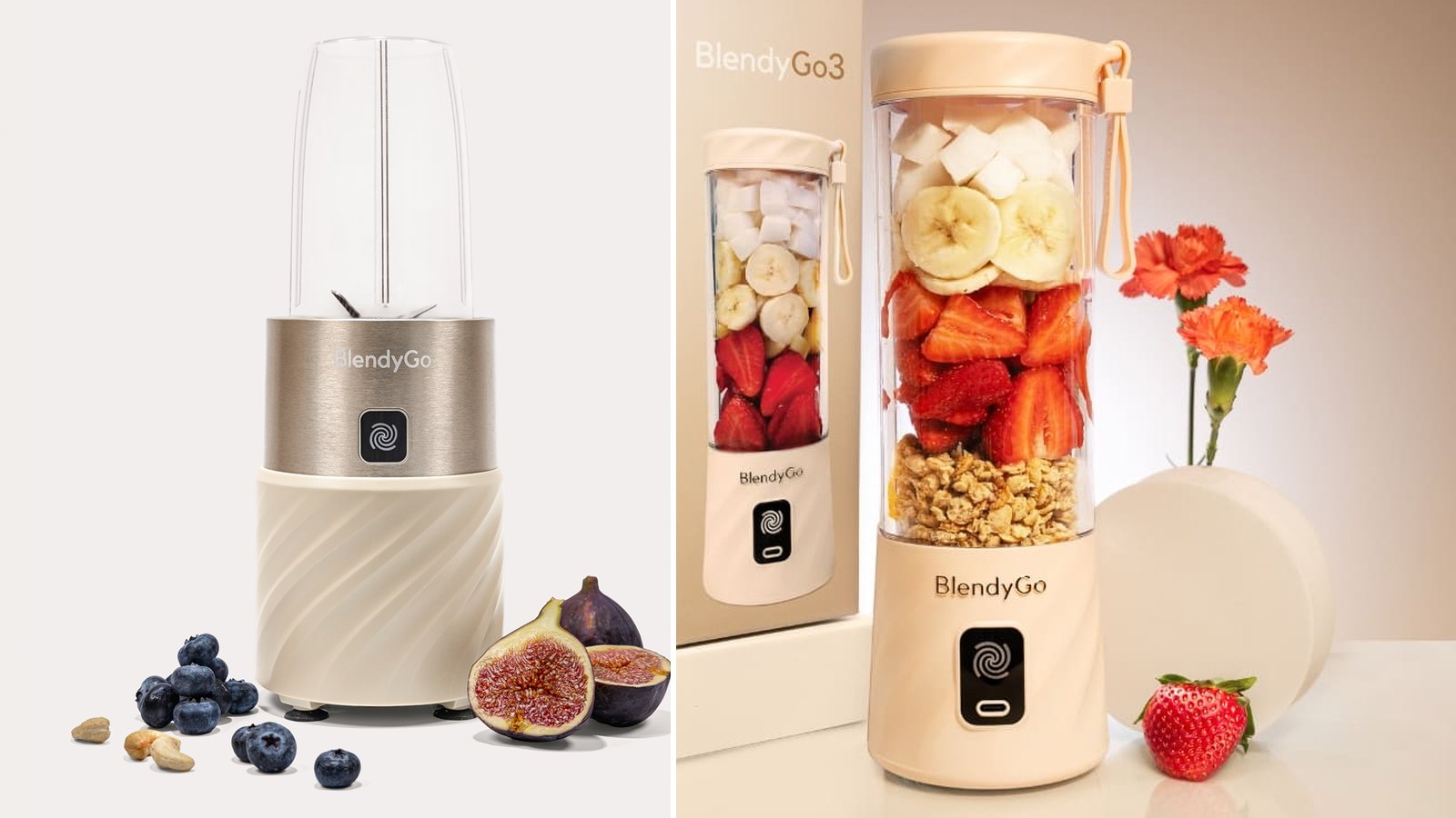 BlendyGo Max, nebo BlendyGo 3? Jaký mixér vybrat